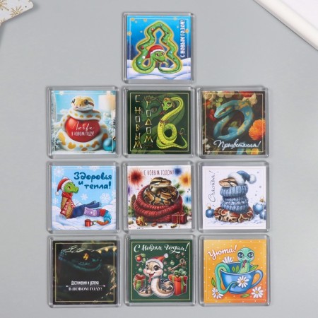 Acryl Magnet "Snake. Mix" 5.7x5.7 cm mix 10 types-1