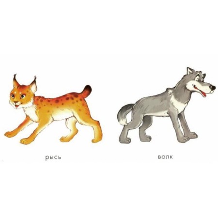 Forest animals-1