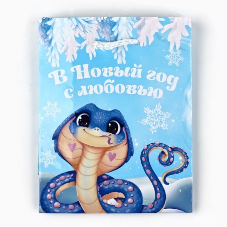 Package New Year's laminated "New Year", s 12 x 15 x 5.5 cm-3
