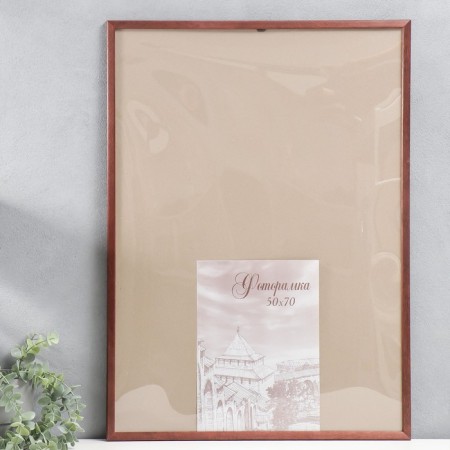 Photo frame pine С14 01/6 wenge 50x70 cm (plastic screen)