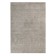 Lion carpet, size 200x300 cm