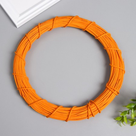 Ring Roadan for manufacturing the catfish "Orange" d = 20 cm