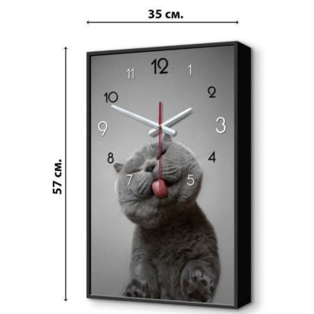 Carty clock is wall-mounted, interior "cat", 57 x 35 x 4 cm, silent-1