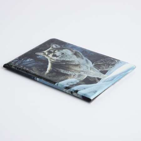 Passport cover, gray color-2