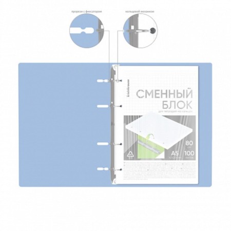 Notebook on rings A5 100 sheets of Erichkrause IQ Fineline Symbol Plastic Cover Blue, Offset 80 g/m², White is 100% mix-5