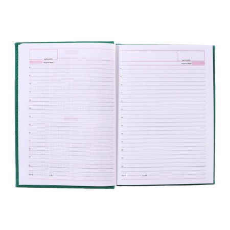 Deliciper of Leduced A5, 160 Vivevella sheets, artificial leather cover, light green-15