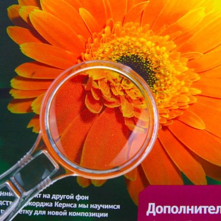 Lupa with a transparent case 3x, 6x, d = 5.5cm-1