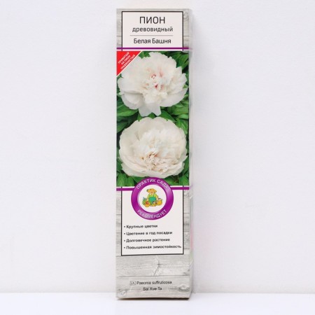 Pion tree peony (vaccinated on grassy) "White Tower", 1 pc, tube, spring 2025