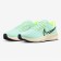 Cunning male Nike Air Zoom Pegasus 39 DH4071 301, size 10 US