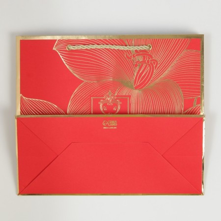 Gift Package Laminated, packaging, “With Best Wishes”, 27 x 23 x 12 cm-5