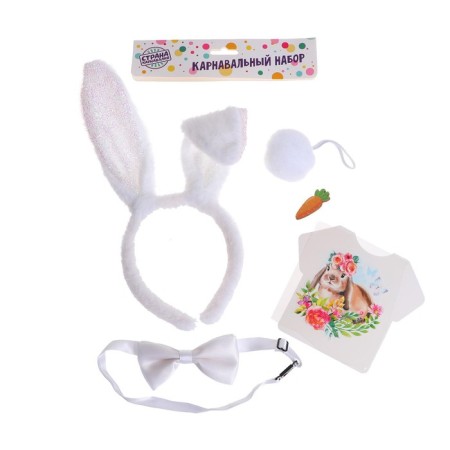 The carnival costume "Cutie" thermonacleka, rim, butterfly, brooch, tail, mix-3