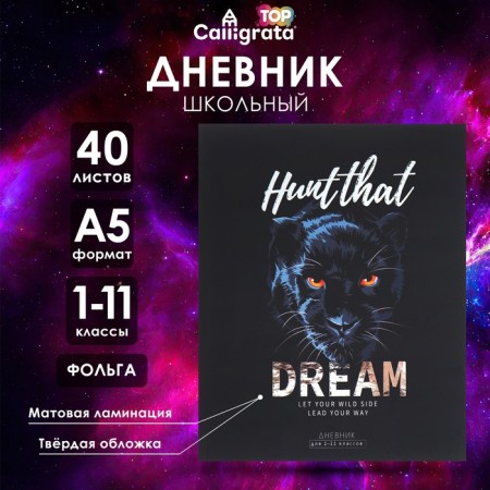 Universal diary for grades 1-11 Hunt That Dream, hard cover, matte lamination, foil, 40 sheets
