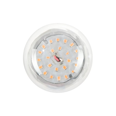 LED Luazon, A60, E27, 12 W, IP44, 220 V, 270 °.-5