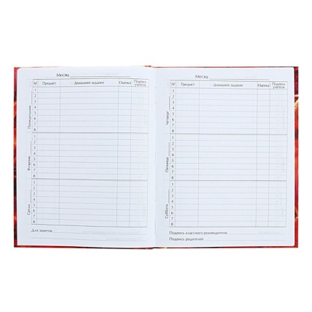 Diary for grades 5-11 anime. Man, hard cover, glossy lamination, 48 sheets-6