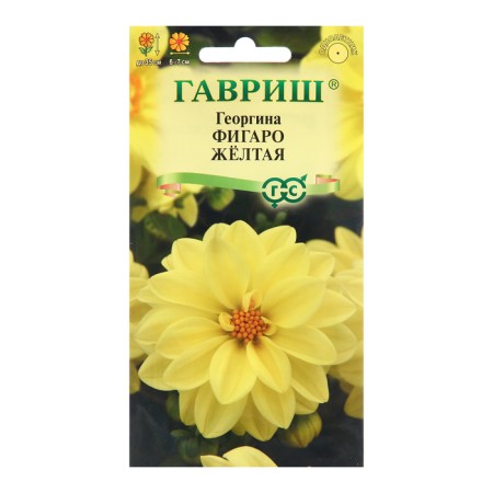 Georgin seeds "Figaro", yellow 7 pcs.