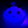 Hedgehog "animal" light, species mix