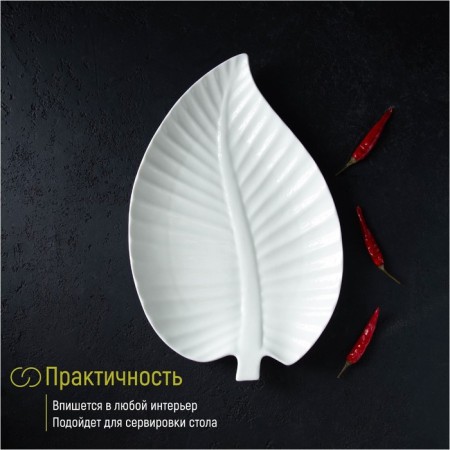 Ceramic "Liszt" dish, 29 × 19 × 2 cm-5