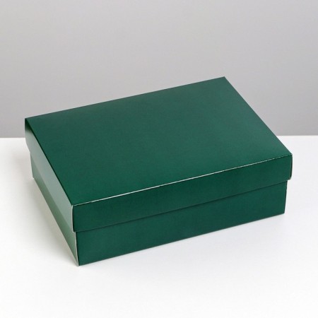 Gift folding box, packaging, "Emerald", 21 x 15 x 7 cm-2