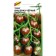 Seed Tomat "Cherry Black" Select, Early Nedneshel 25 pcs