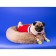 Non -slip socks, size S (2.5/3.5 * 6 cm), set 4 pcs, chicken