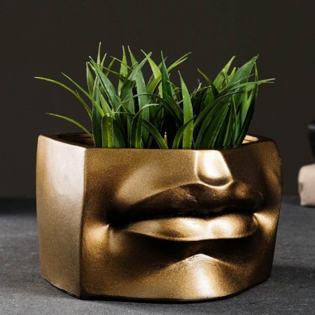 Kashpo - organizer "Lips of David" Bronze, 16x11x15.5cm