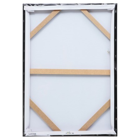 Picture- canvas on the subframe "Sculpture" 50*70cm-2