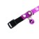 Fly collar with paws, 29 x 1 cm, mix of flowers