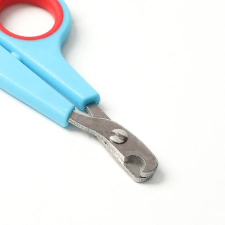 Carrying for claws: scissors-codlons (hole 6 mm) and a saw, blue-red-2