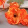 Artificial flowers "Tensor cosmea" 8x58 cm, orange