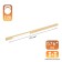 Cappio RSC023, aluminum, m/o 576 mm, gold, golden gold