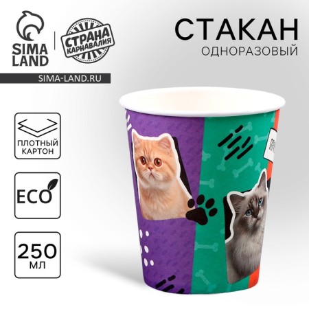 A single -single -paper cup "cats", 250ml