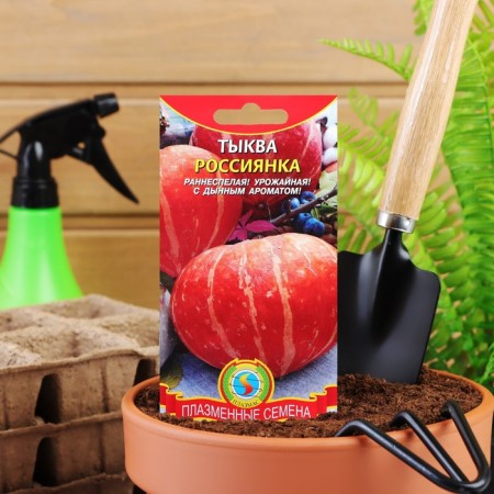 Семена Тыква "Россиянка", 2 г-3