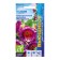 Kobei Seeds "Cathedral bells", purple 5 pcs.