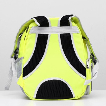 Backpack for carrying animals, transparent, 31 x 28 x 42 cm, yellow-5