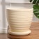 Flower "Tenderness" Pot Beige 2.4 liters