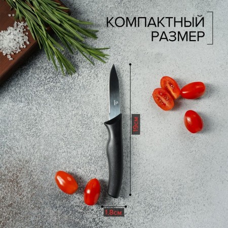 Vegetable knife “Grime”, blade 7.5 cm, black color-2