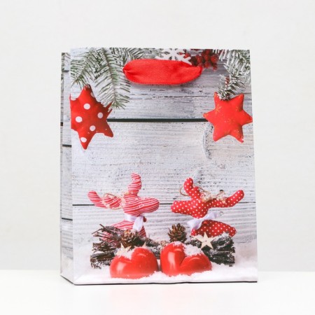 Laminated “New Year deer” package 11.5 x 14.5 x 6 cm-2