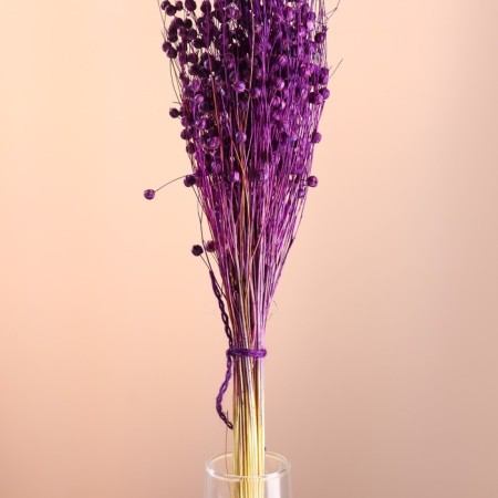 Set of dried flowers "Lenon-long-tuned", banch length 55-60 (+/- 6 cm), purple-1