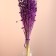 Set of dried flowers "Lenon-long-tuned", banch length 55-60 (+/- 6 cm), purple