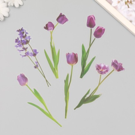 Plastic stickers "Flowers and quotes. Lilac" set 12 pcs 8.5x21.5x0.2 cm-4