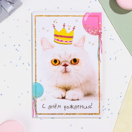 Birthday card!" Cat, A5-3