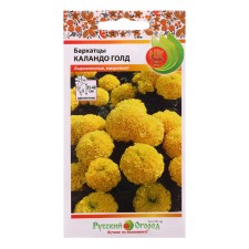 Flower seeds of marigolds 