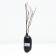 Coji (Licium, Dereza ordinary) "New Big", 1 pc, tube, spring 2025