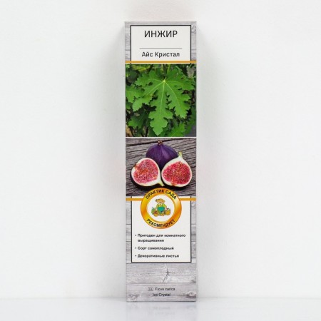 Figs "Ice Crystal", 1 pc, tube, spring 2025