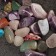 Stone, souvenir "Stone mix"