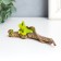 Souvenir Polystone "Frog with a snail on the leaves" 3.5x13.1x3.5 cm