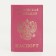 Cover for passport, pink color