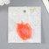 Leaves skeletered for creativity "coral" set 20 pcs h = 6-6.5 cm