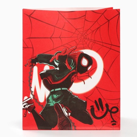 A set of craft packages with stickers, Spider-Man, 18x22x12 cm-6