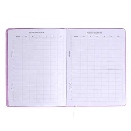 Universal diary for the 1-11 grade Unicorn Friends, solid cover, artificial leather, foam rubber, liesse, 80 g/m2-4